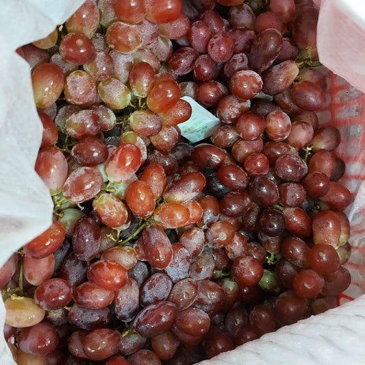 Imported Seedless Grapes from Australia - order price / crate 5 kls.