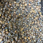 Benguet Blend Medium Roasted Coffee (Whole) Beans - order price/ 500 grams