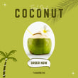 Green-Husked Coconut (BUKO/BUCO) - order price / per piece