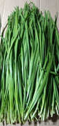 Local Organic Garlic Chives [Kutchay | Kuchay] - order price / kilo