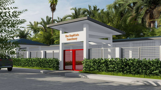 Donation for the Construction of The HapiCats Sanctuary
