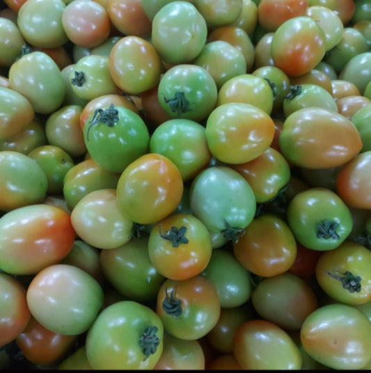 Local Organic Tomato (Kamatis) - order price / 500 grams