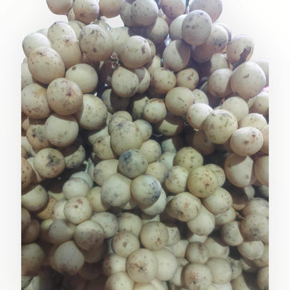 甜蜜的蘭佐內斯 | Lansones [Native] - 訂貨價/500克