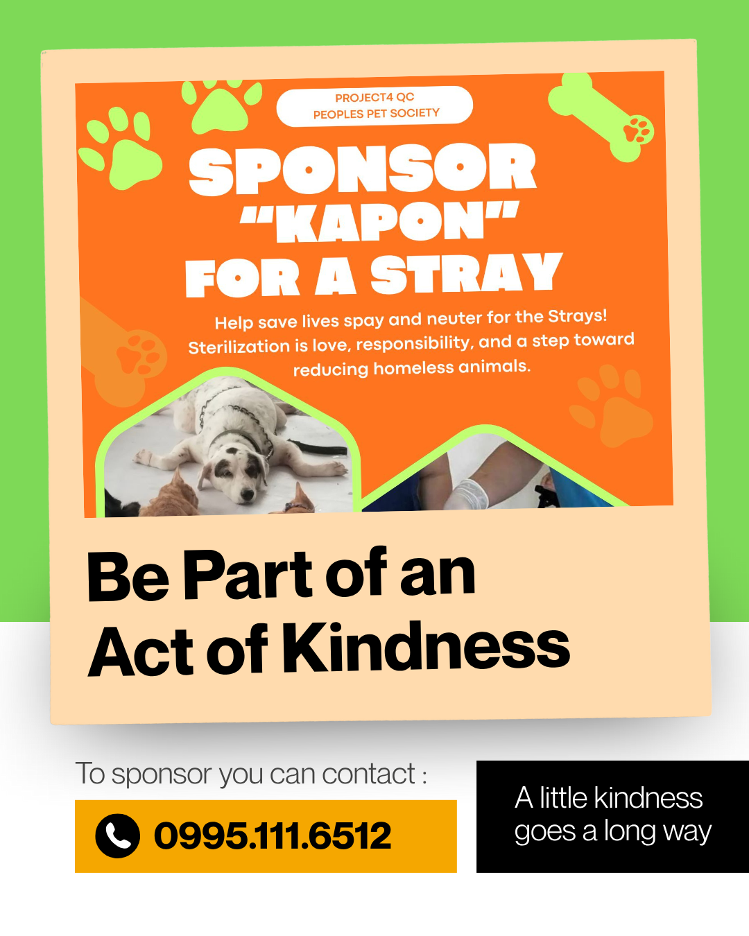 Sponsorship for "Kapon for a Stray" Program (Donation)
