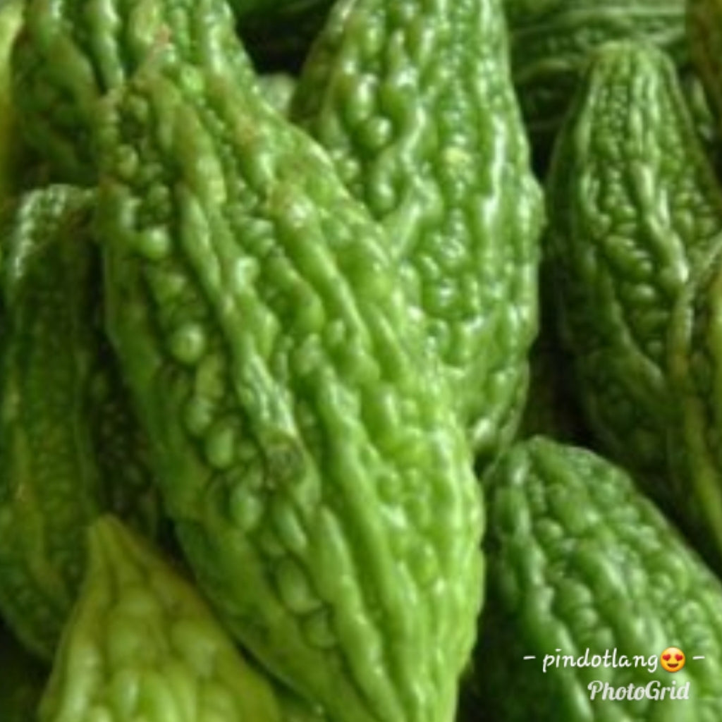 Native Ampalaya (order price/500 grams) - Farm2Metro