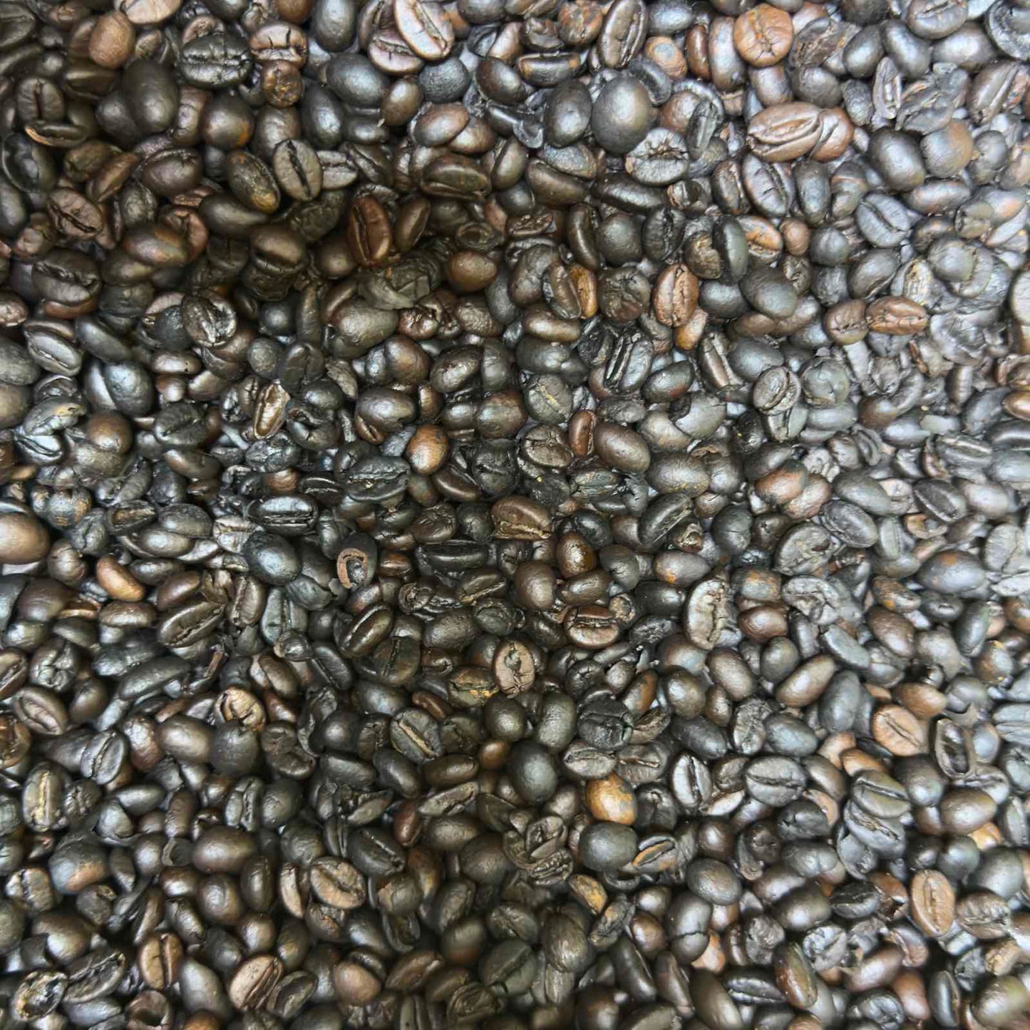 Sagada Medium Roast Authentic Whole Coffee Beans- order price / 250 grams
