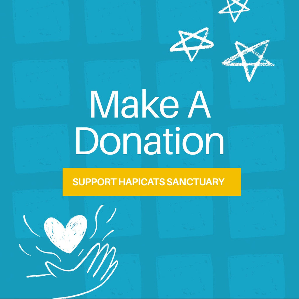 Donation for the Construction of The HapiCats Sanctuary