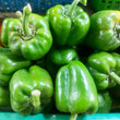 Fresh Organic Green Bell Pepper Large size - order price / 250 grams