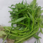Fresh Local Chinese Kangkong - order price / kilo