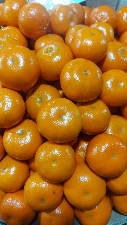 Sweet Orange Kiat Kiat | Kiatkiat - order price / kilo