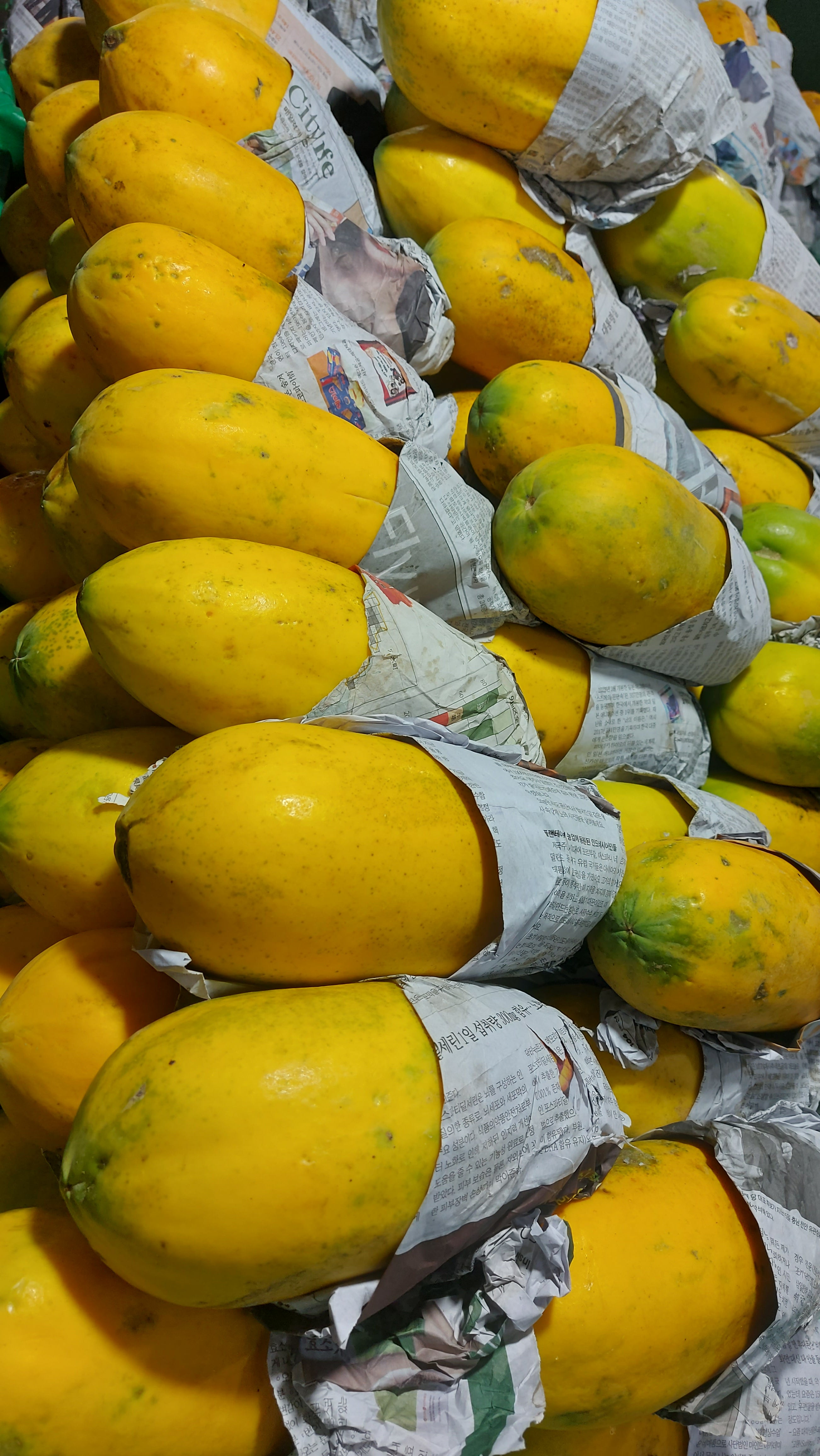 Organic Local Red Lady Papaya - order price / kilo