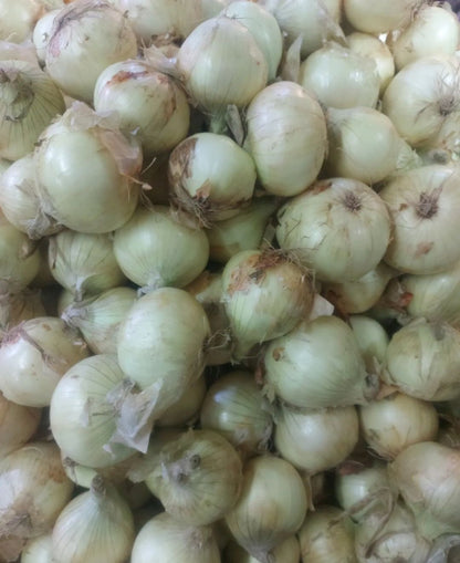 Local White Onion [Sibuyas] Small - order price / 250 grams