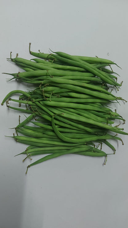 Local Organic Green Beans (Baguio Beans) from Benguet - order price / kilo