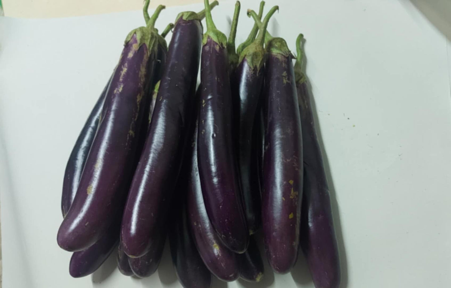 Organic Eggplant [Talong Haba] - order price / 500 grams