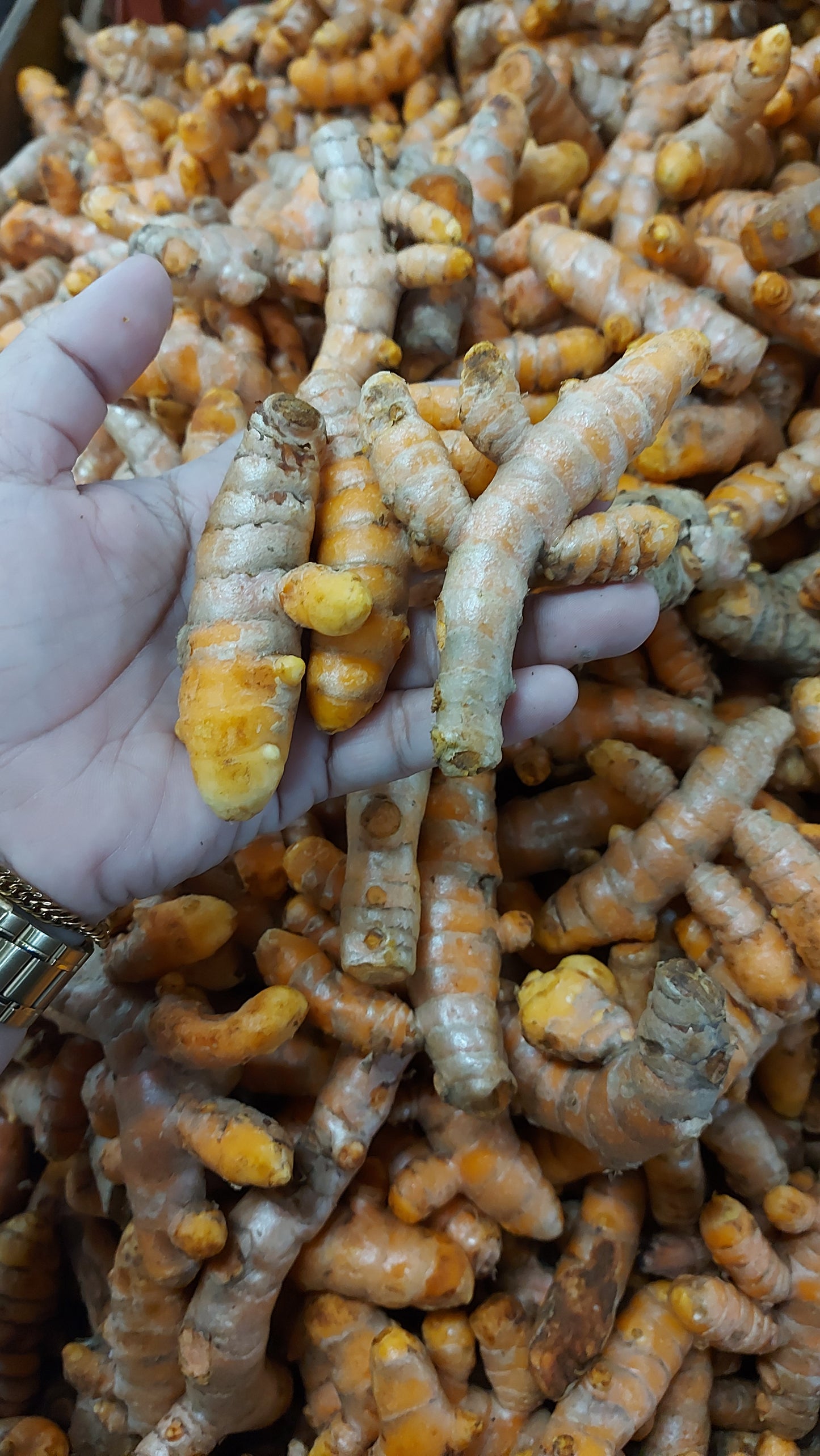 Natural Organic Turmeric - order price / 250 grams