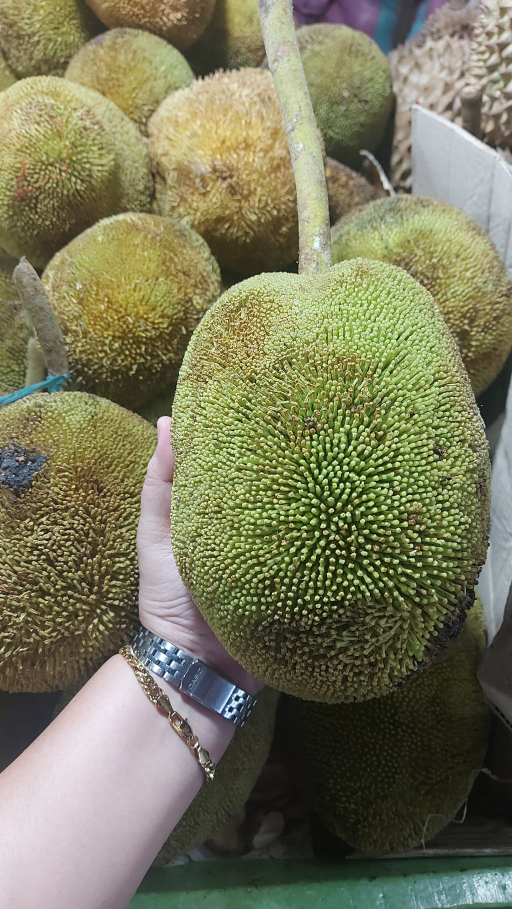 フレッシュ オーガニック ダバオ マラン フルーツ - 注文価格 / キロ