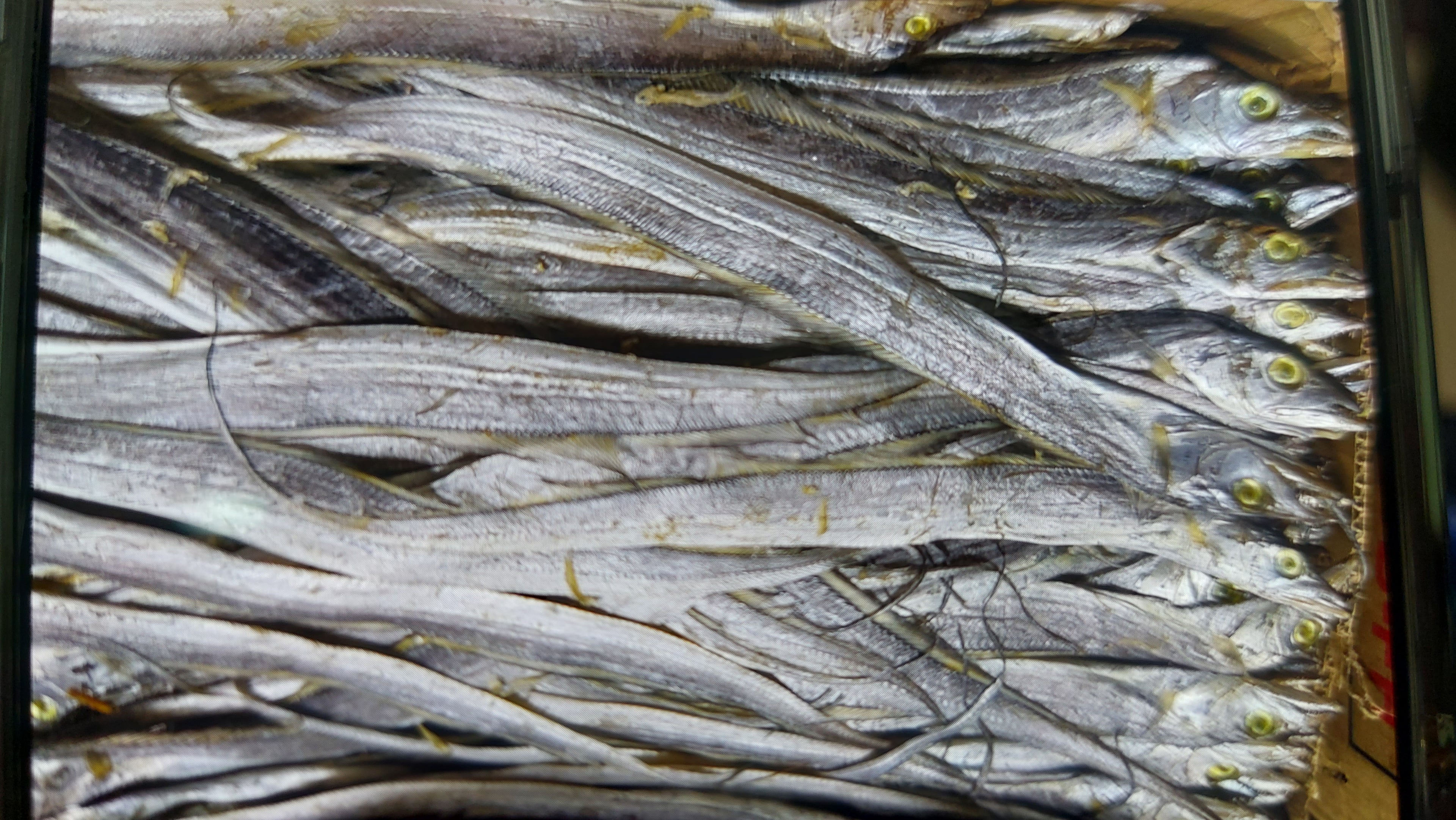 Espada Dry fish/kilo