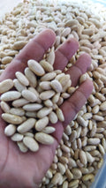 Organic White Kidney Beans/250 grams
