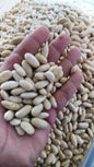 White Kidney Beans/500 grams