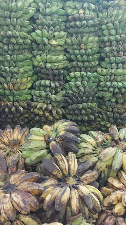 Fresh Local [SABA] Banana / Piling (Wt.2-3 kls.)