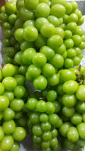 Green Muscat Grapes/Kilo