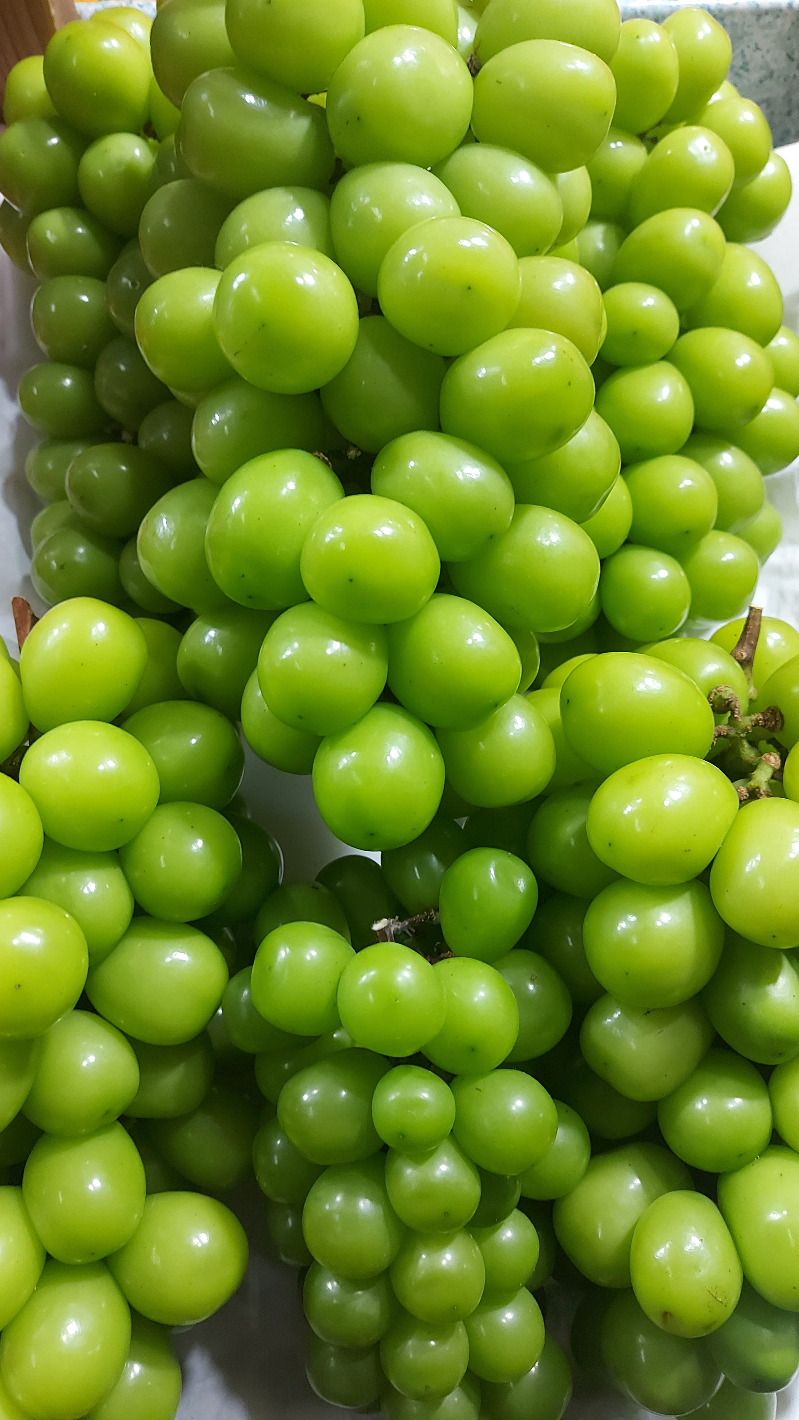 Green Muscat Grapes/Kilo