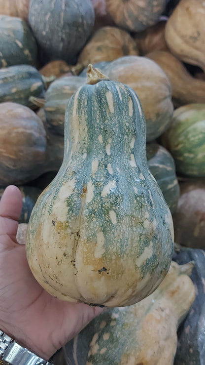 Native Organic Lagkitan Mini Squash [Kalabasa] | Pumpkin - order price / kilo