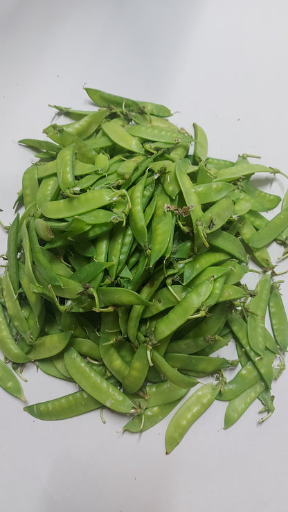 新鮮有機甜品 |荷蘭豆 (Chicharo) - 訂購價格/公斤