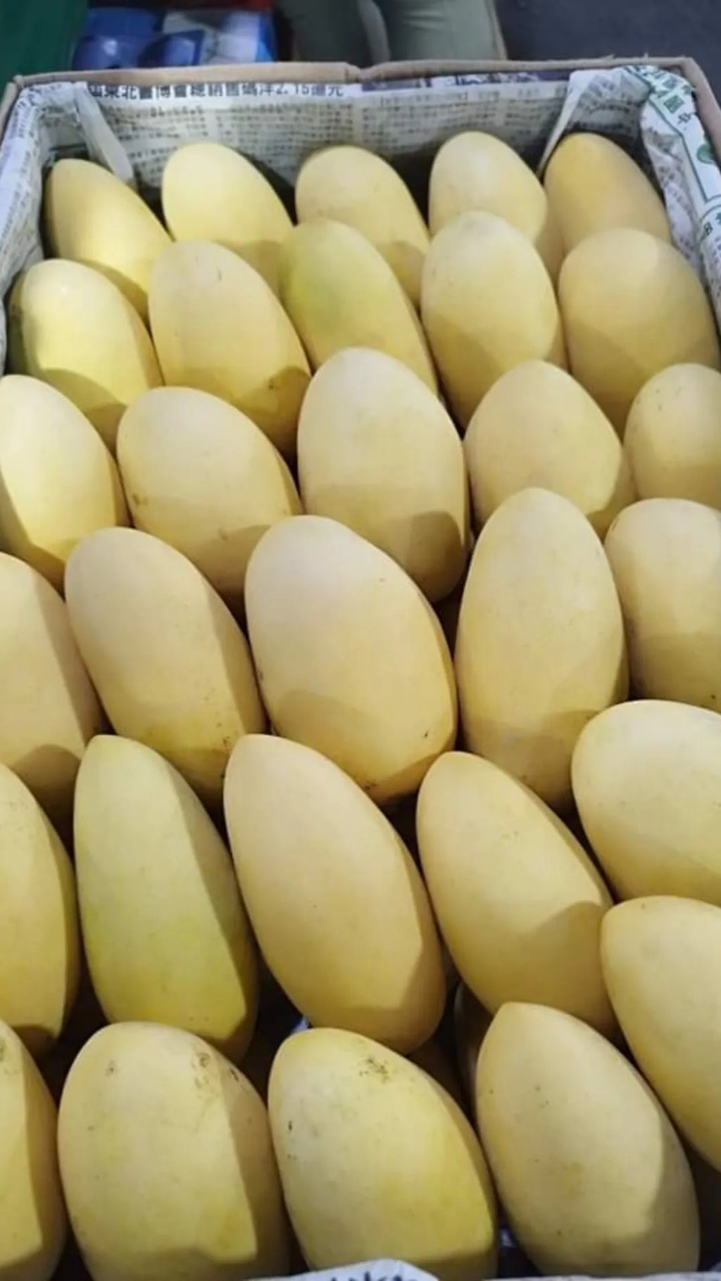 Sweet Davao Ripe Mangoes Kinalabaw (order price / kilo)