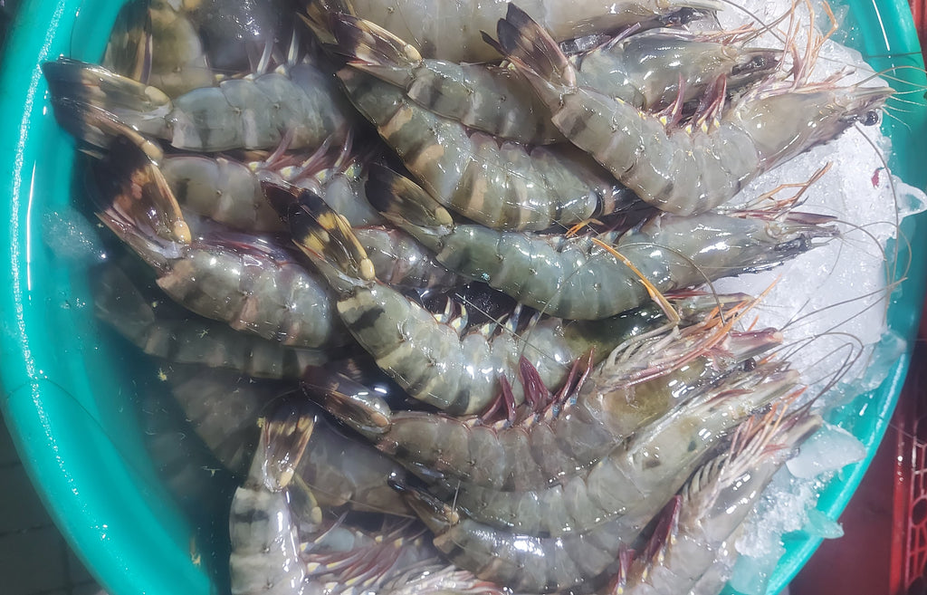 Fresh Tiger Prawns [Sugpo] - order price / kilo