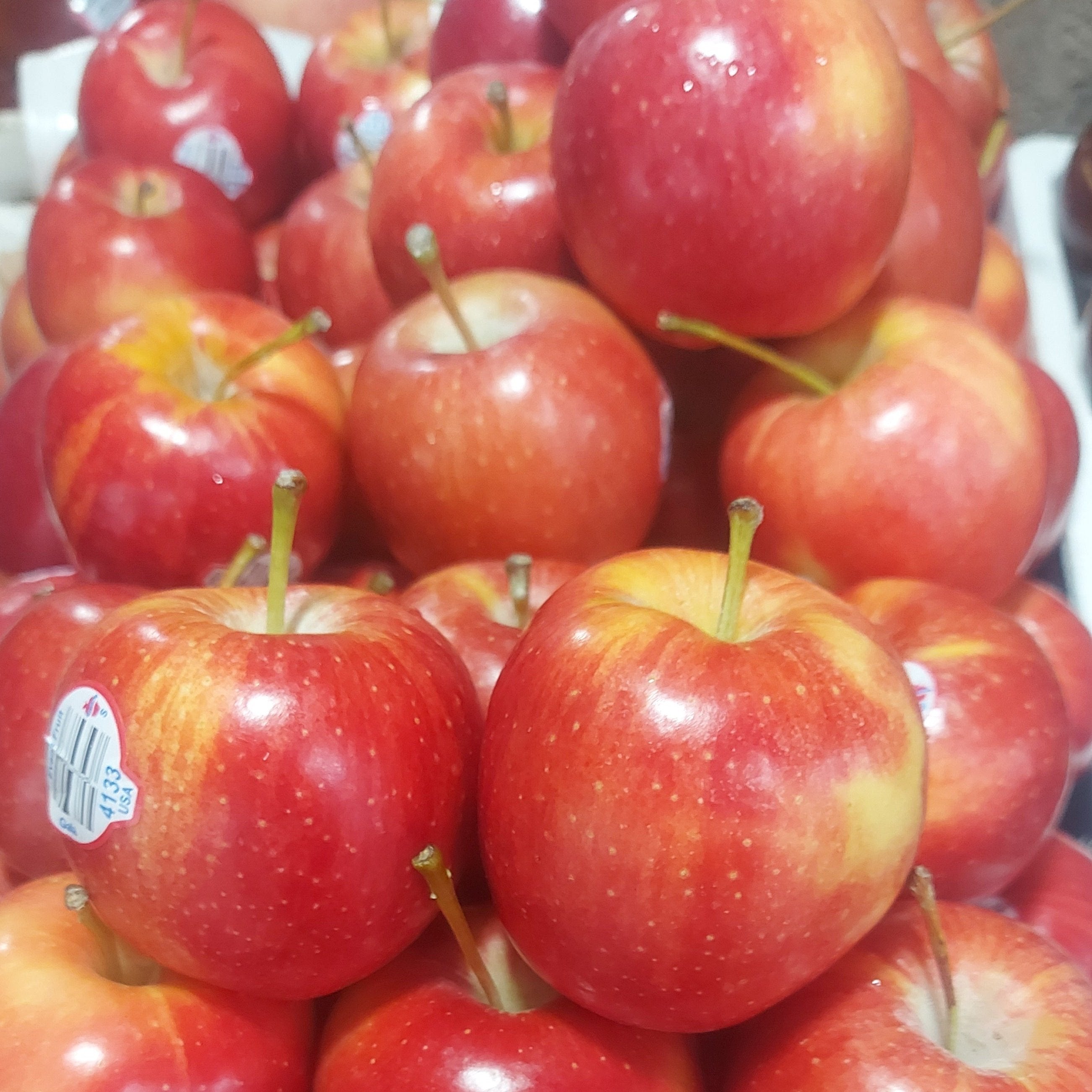 Gala Apple - order price / kilo