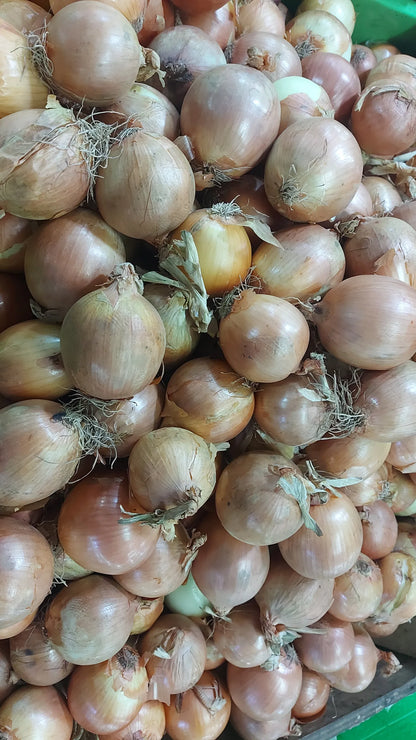 Local White Onion [Sibuyas] Small - order price / 250 grams