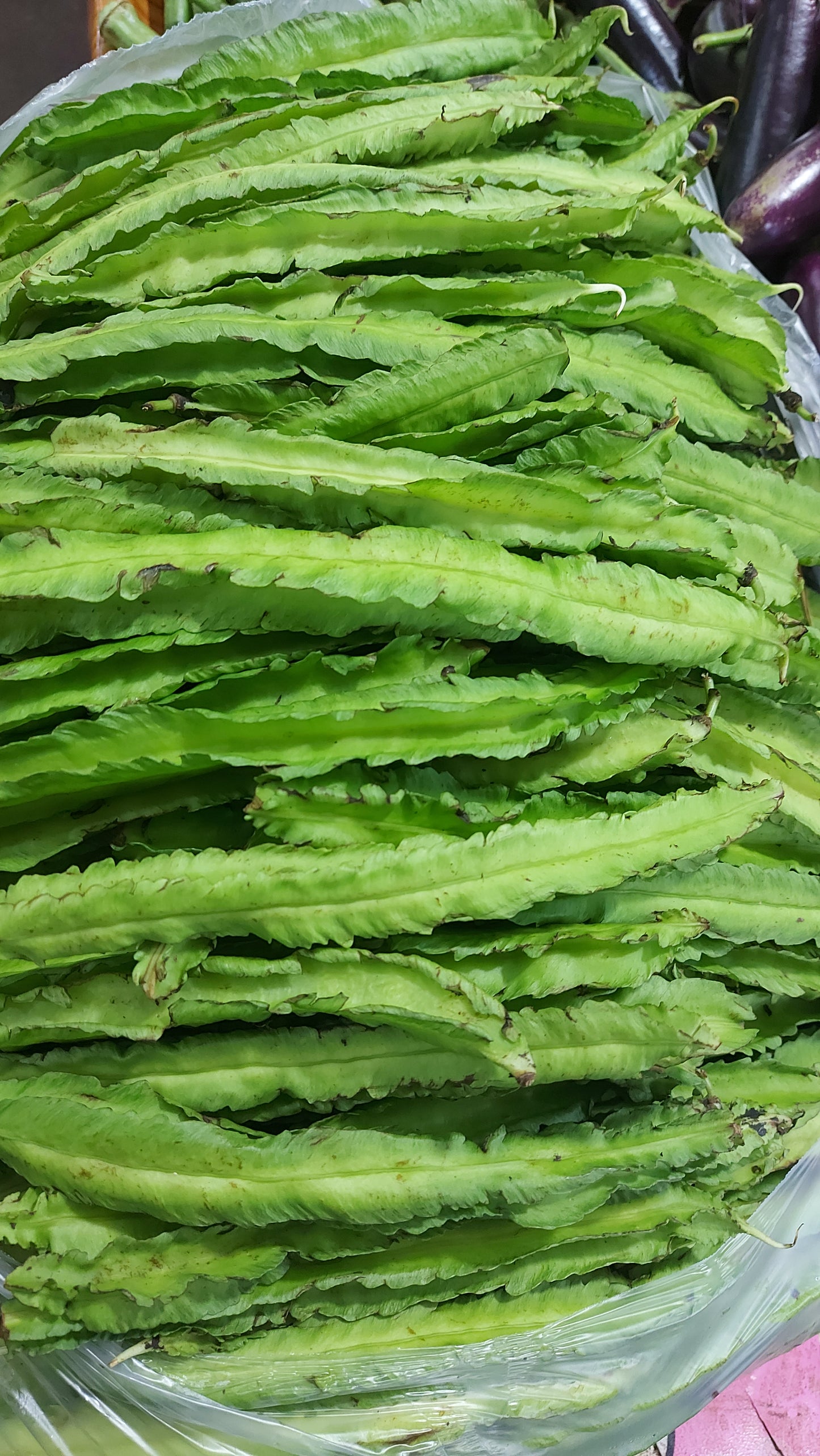 Fresh  Organic Winged Bean [Sigarilyas] - order price / 500 grams