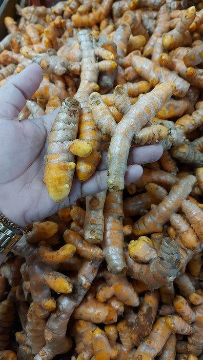Local Organic Turmeric - order price / kilo
