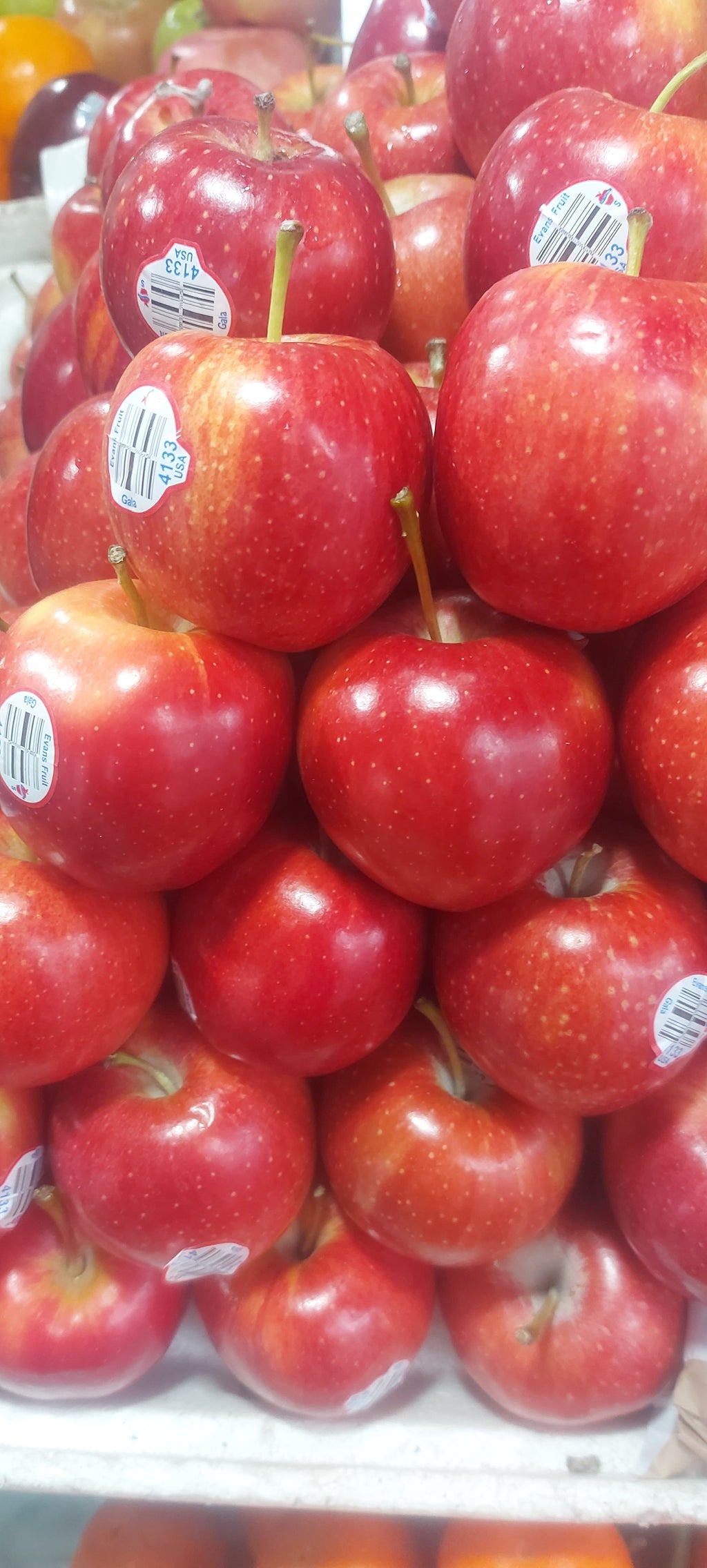 Gala Apple - order price / 500 grams