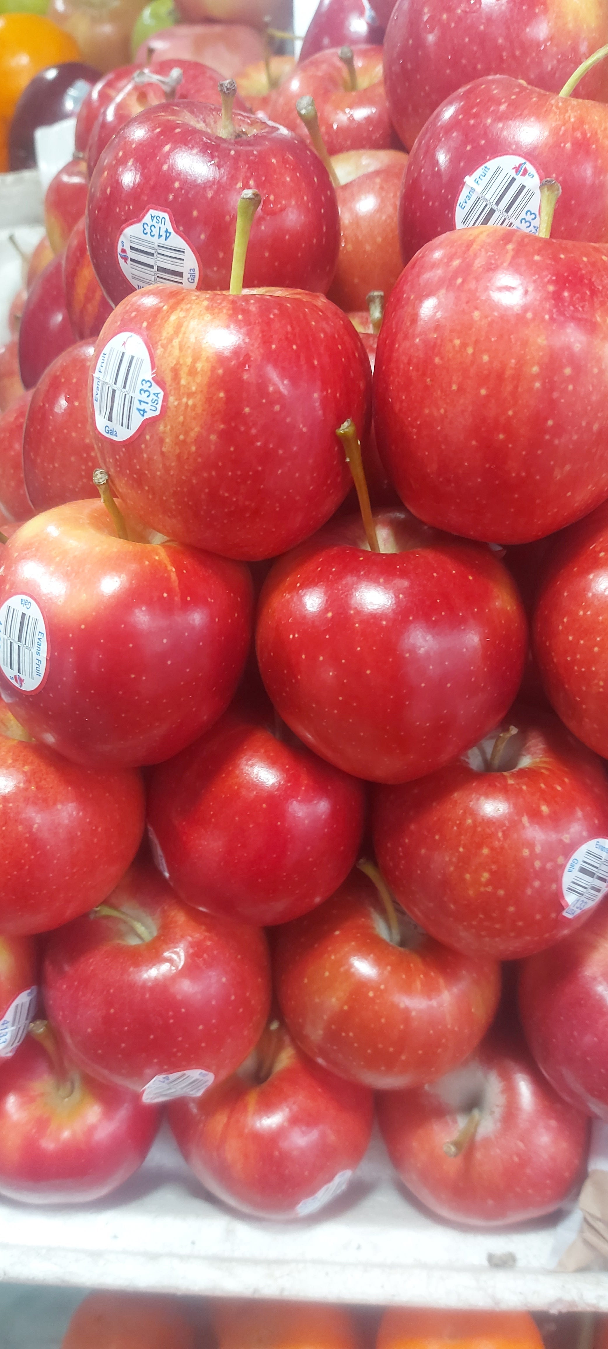 Gala Apple - order price / 500 grams