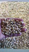 Local White Beans/500 grams