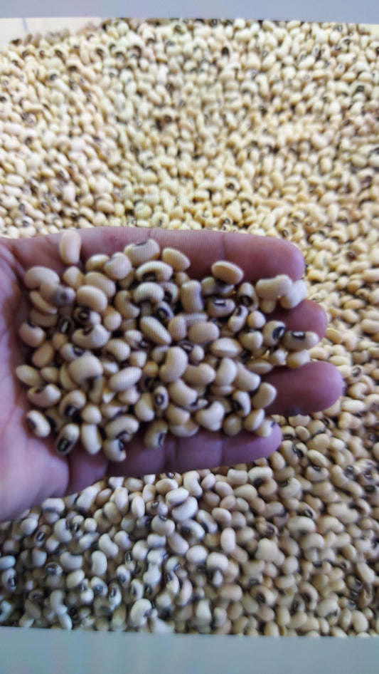 Local White Beans/250 grams