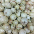 Local White Onion [Sibuyas] Large - order price / kilo