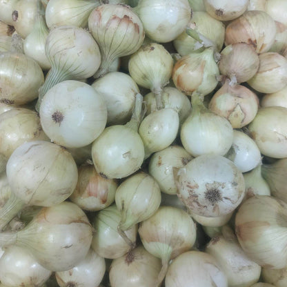 Local White Onion |Sibuyas [Large] - order price / 250 grams