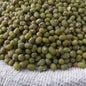Munggo - Lagkitan/Labo (order price/250grams) - Farm2Metro