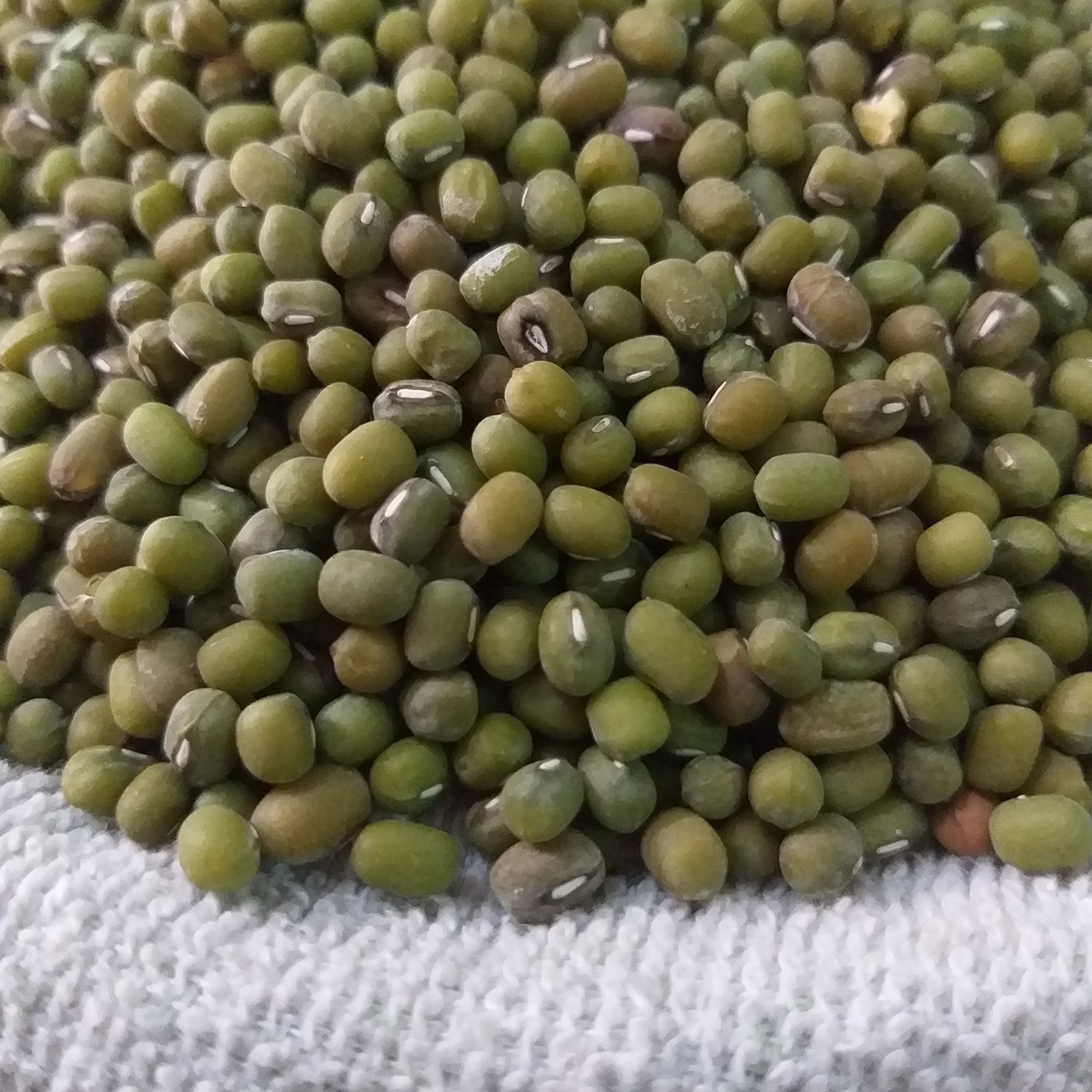 Munggo - Lagkitan/Labo (order price/250grams) - Farm2Metro