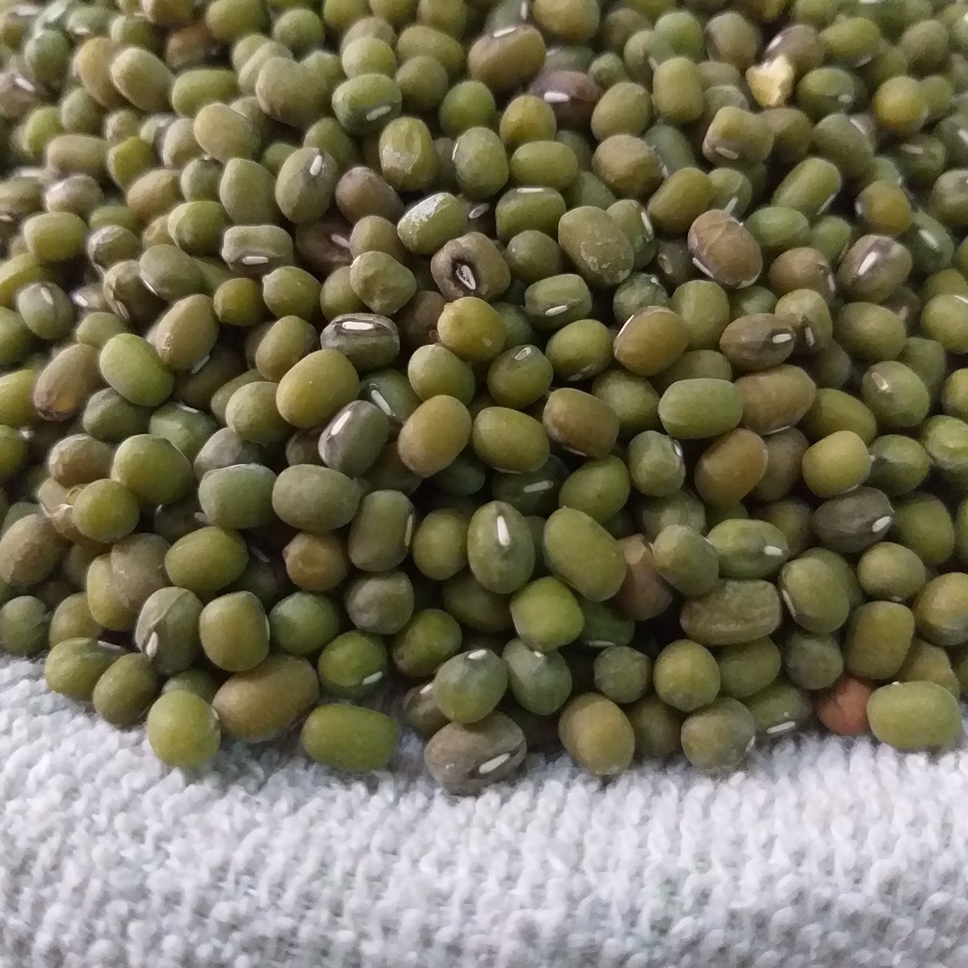 Munggo - Lagkitan/Labo (order price/250grams) - Farm2Metro