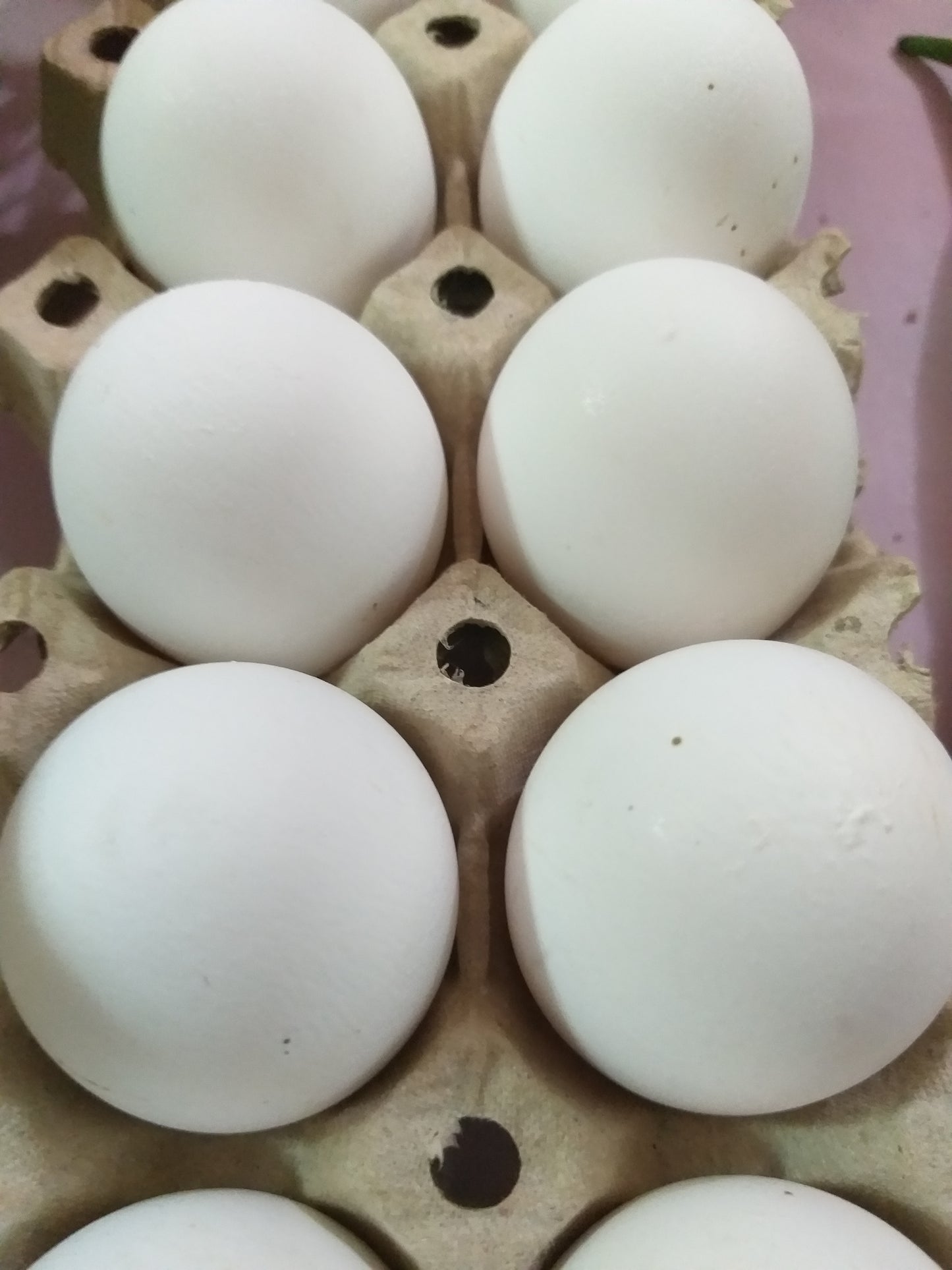 Fresh White Eggs (order price/per tray) - Farm2Metro