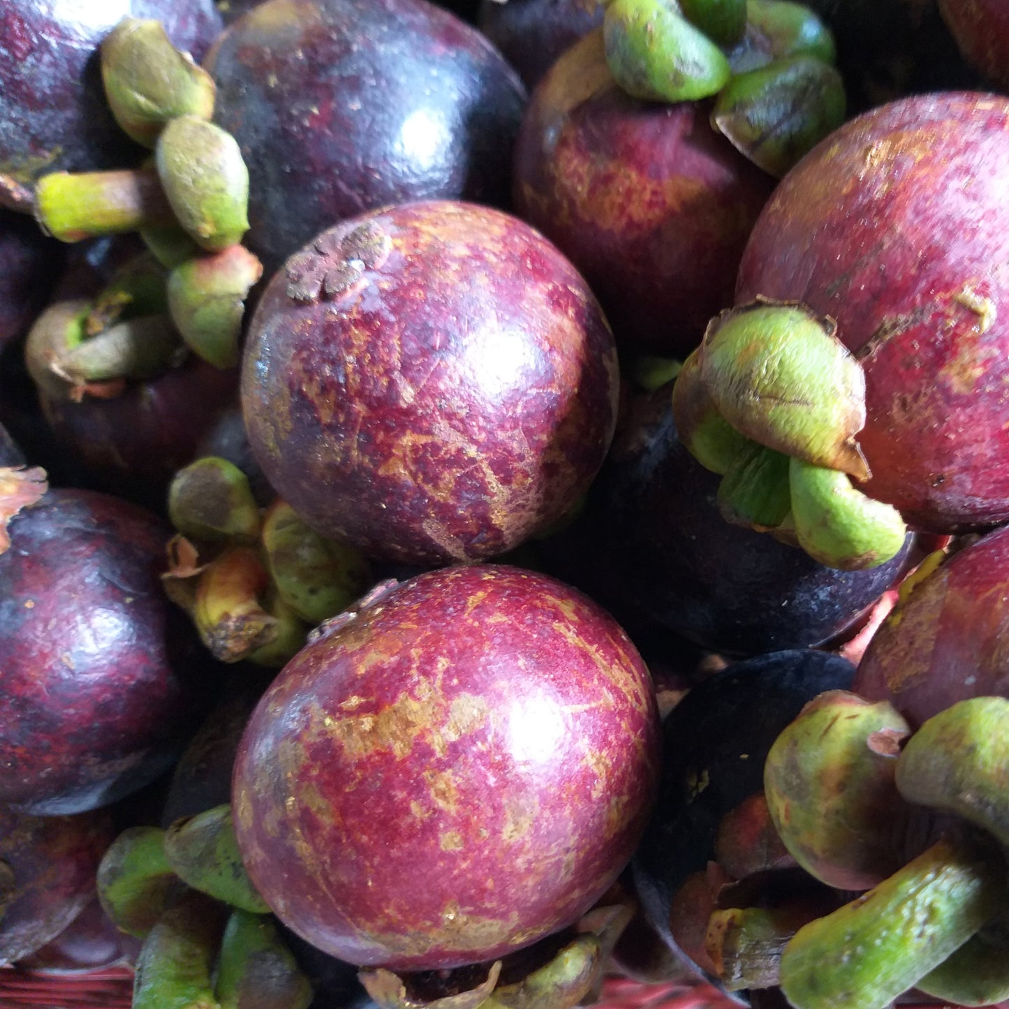 Fresh Davao Mangosteen - order price / 500 grams - Farm2Metro