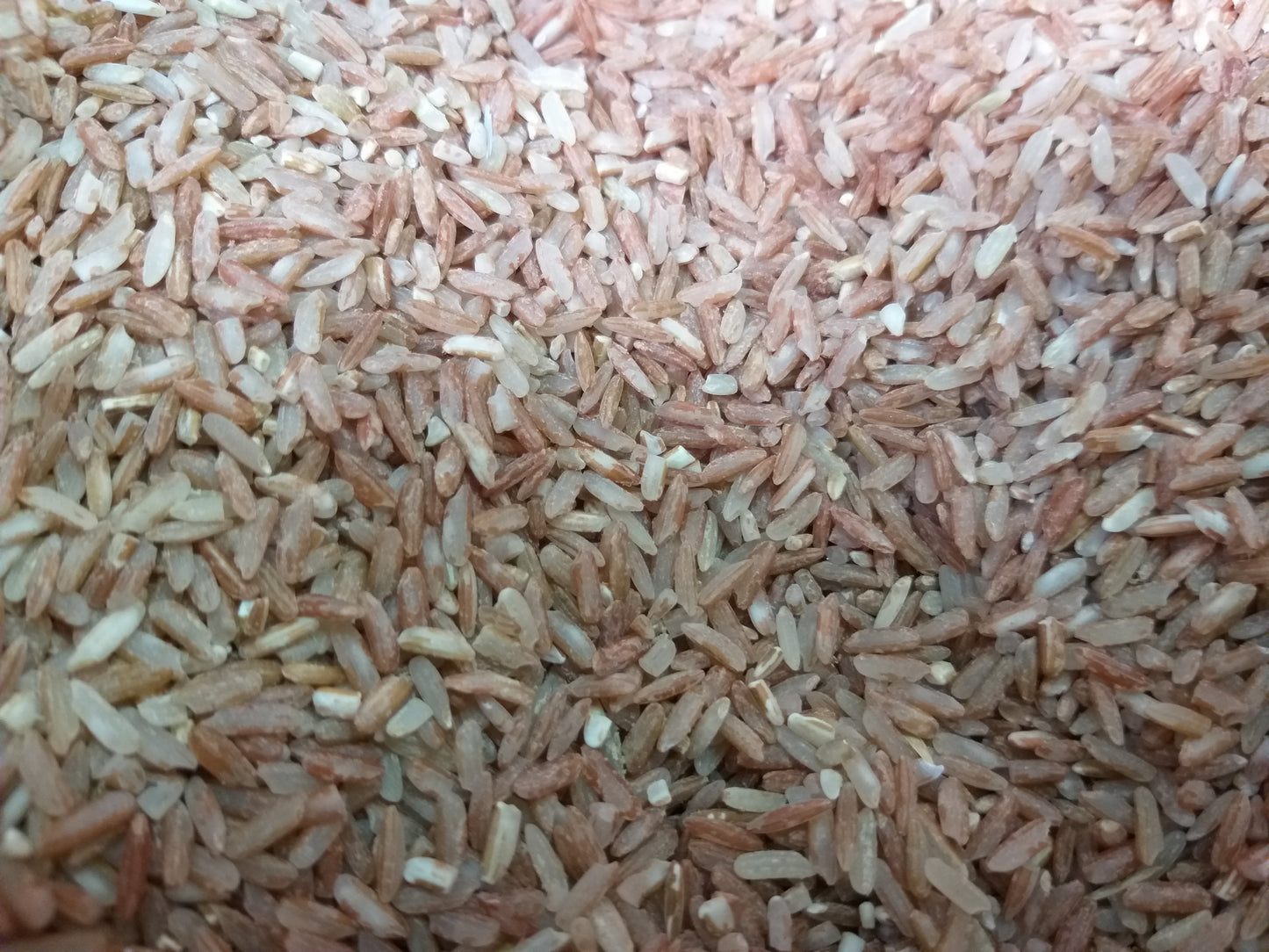 Organic Red Rice - order price/kilo - Farm2Metro