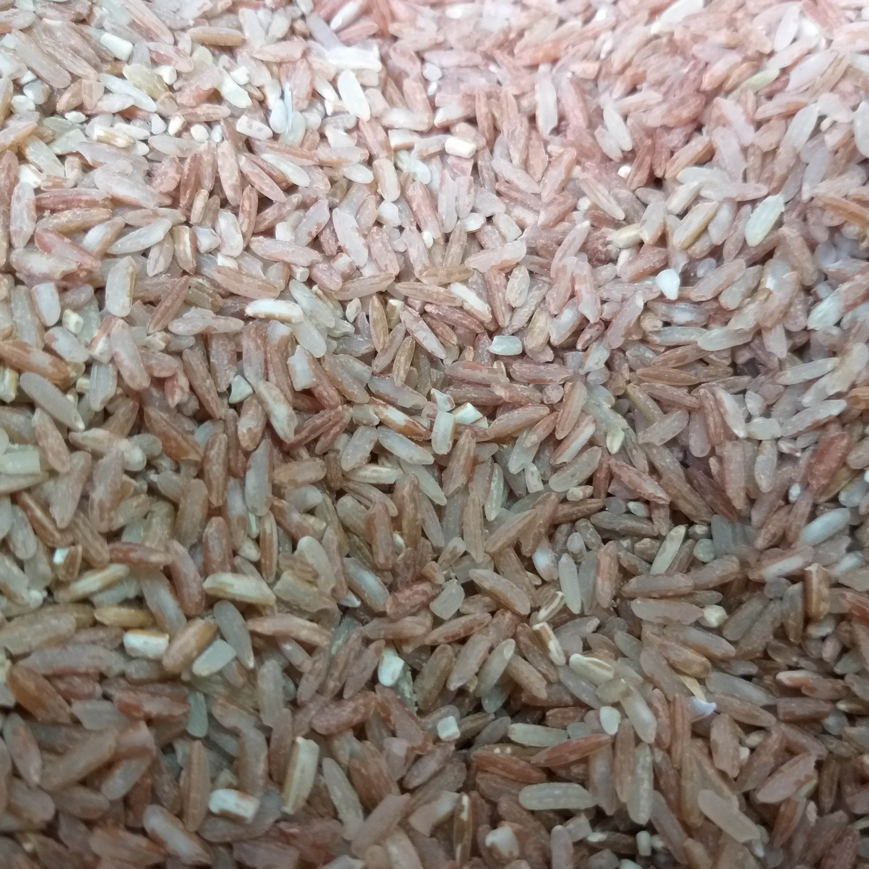 Organic Red Rice - order price/kilo - Farm2Metro
