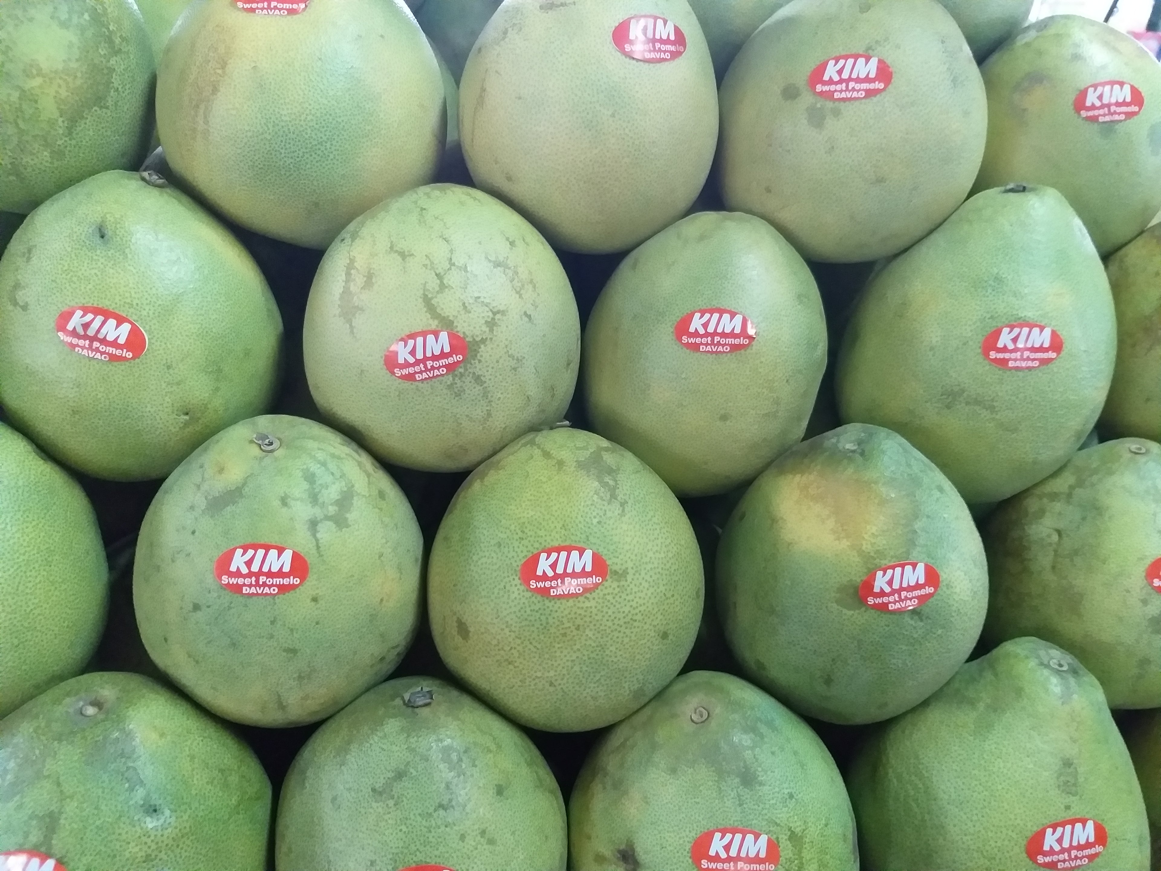 Fresh Davao Pomelo (SUHA) - order price / kilo - Farm2Metro