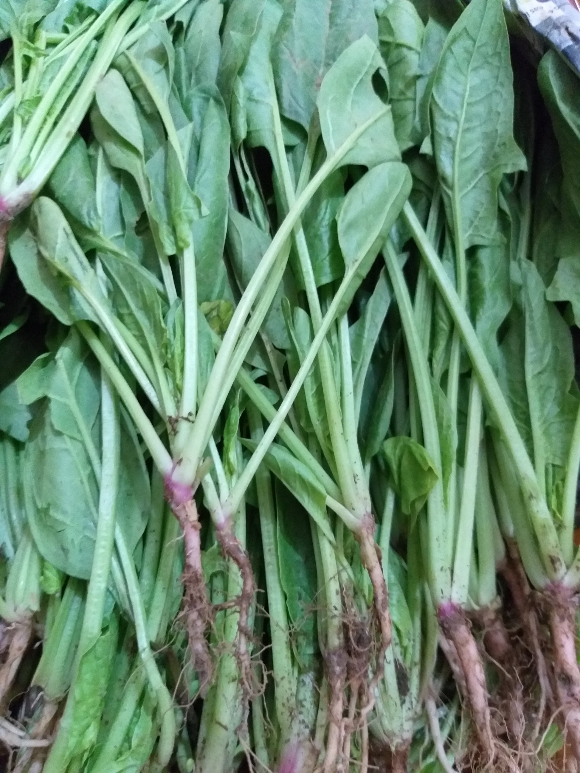 Fresh Organic Polonchay - order price / 250 grams - Farm2Metro