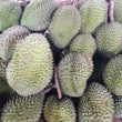 Fresh Davao Durian Fruit (Puyat Variety) - order price/kilo - Farm2Metro